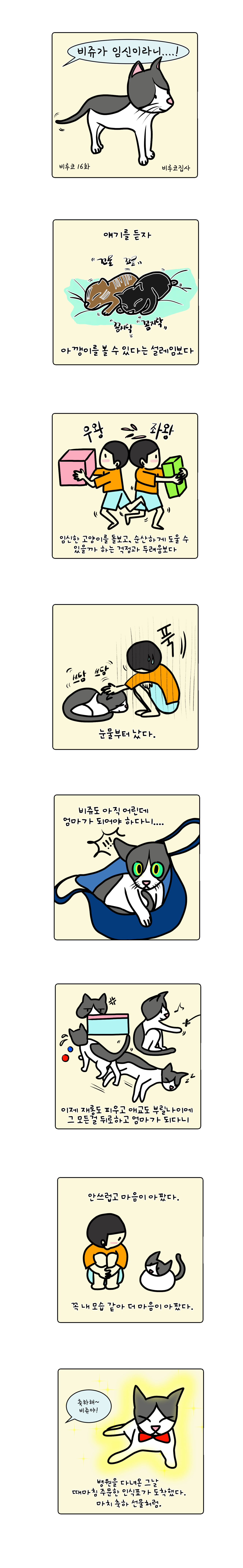 펫16.jpg