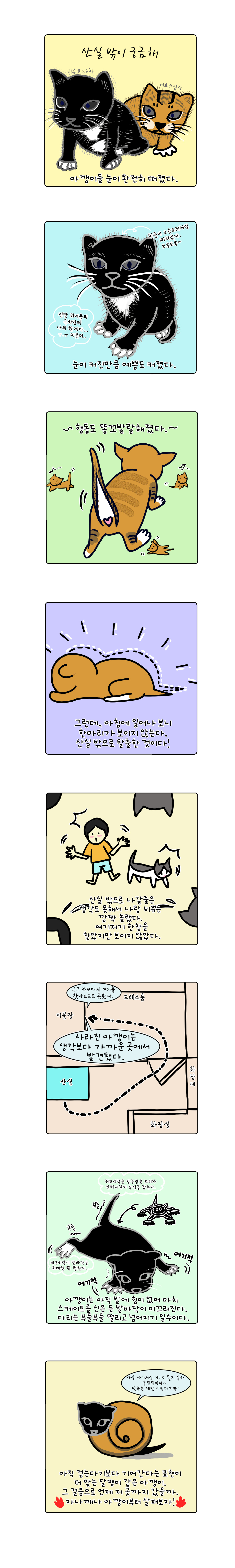 펫23.jpg