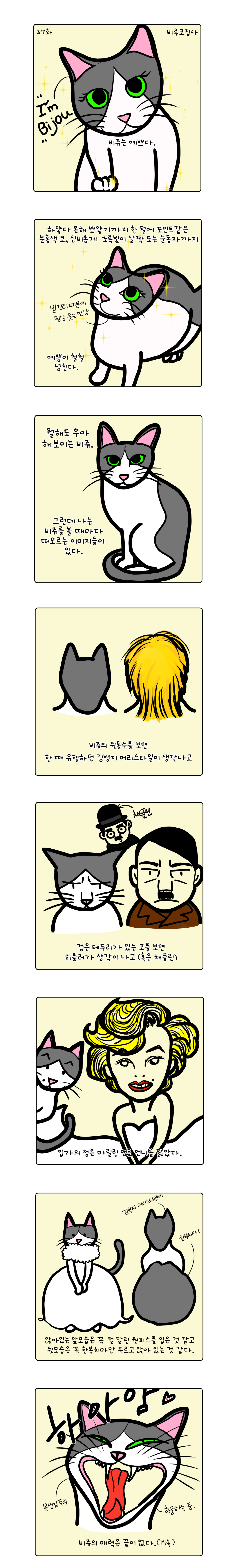 펫37.jpg