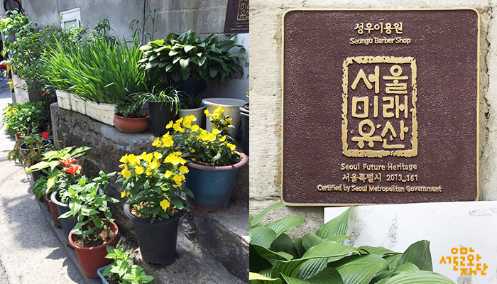 IMG_04_서울미래유산으로-지정된-성우이용원에는-이남열-씨가-손수-가꾸는-화초들이-낡은-이발소에-생기를-더한다.jpg