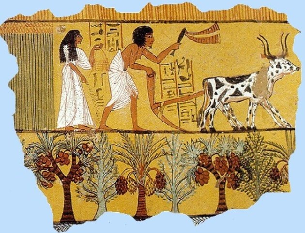 egyptian-farming-1_ver_1.jpg