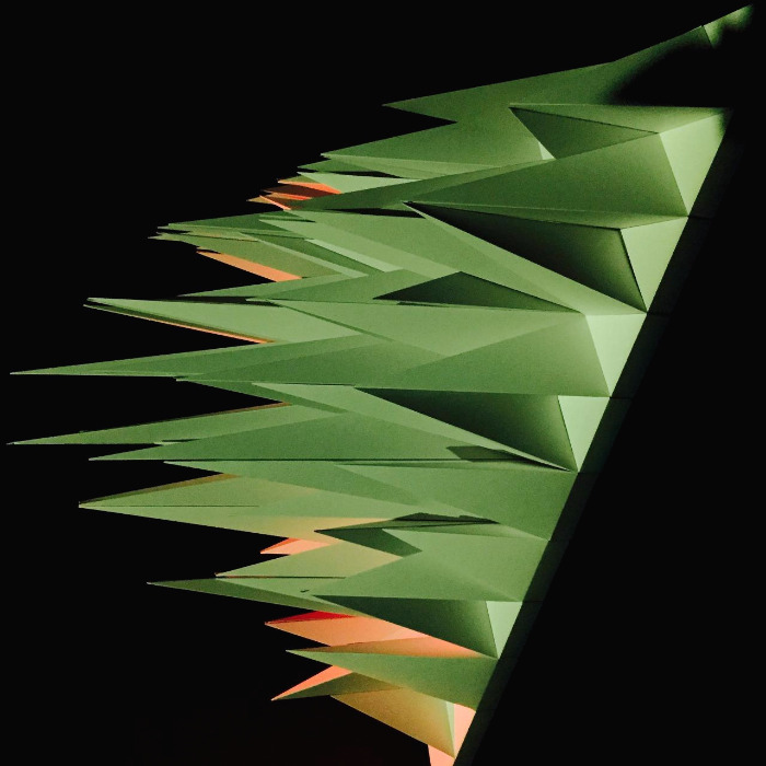 FullSizeRender (1).jpg