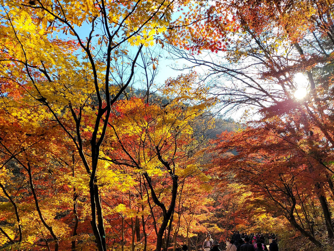 강천산을 즐기는 사람들.jpg
