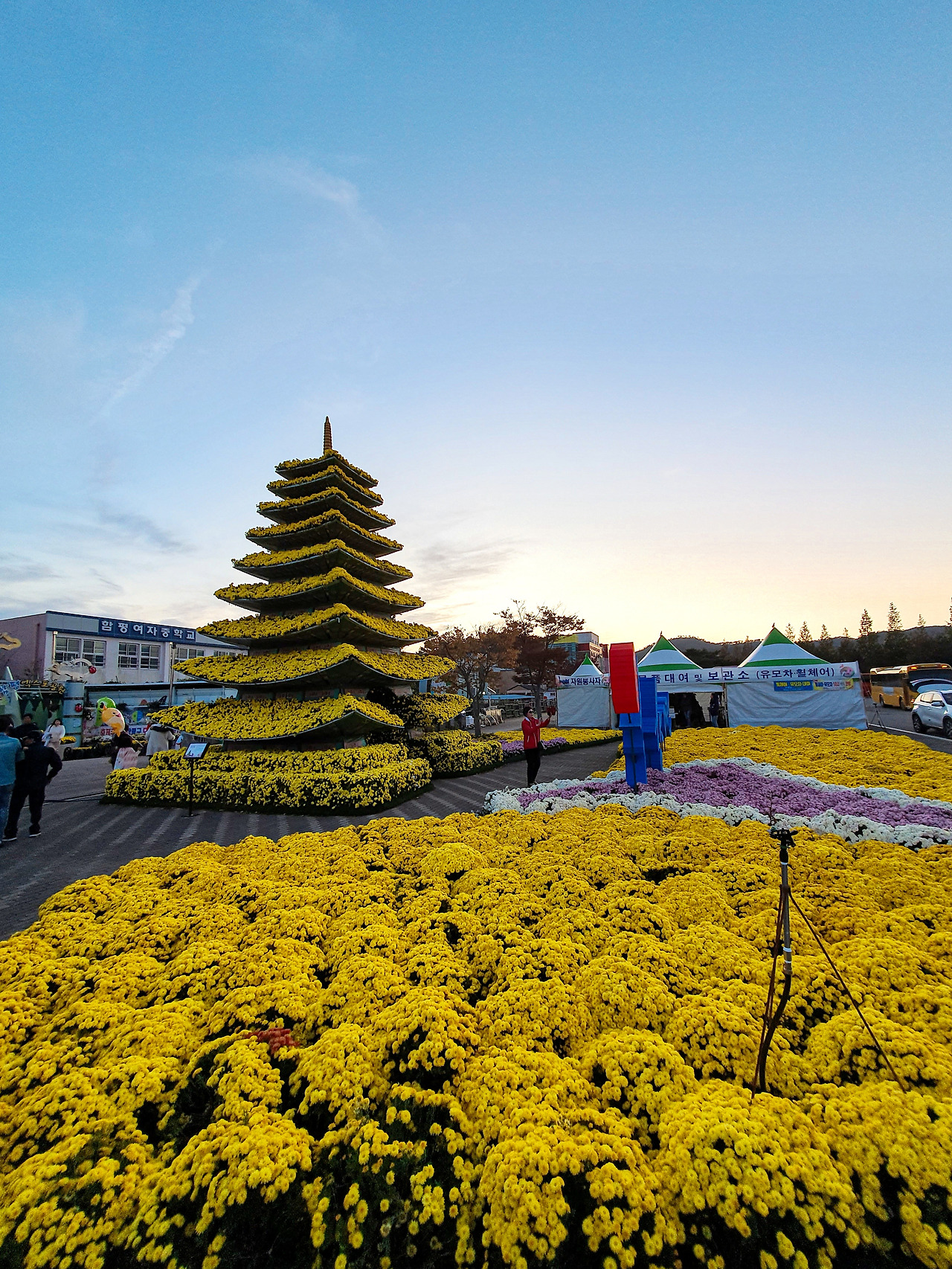 함평국화축제 국향대전 (2).jpg