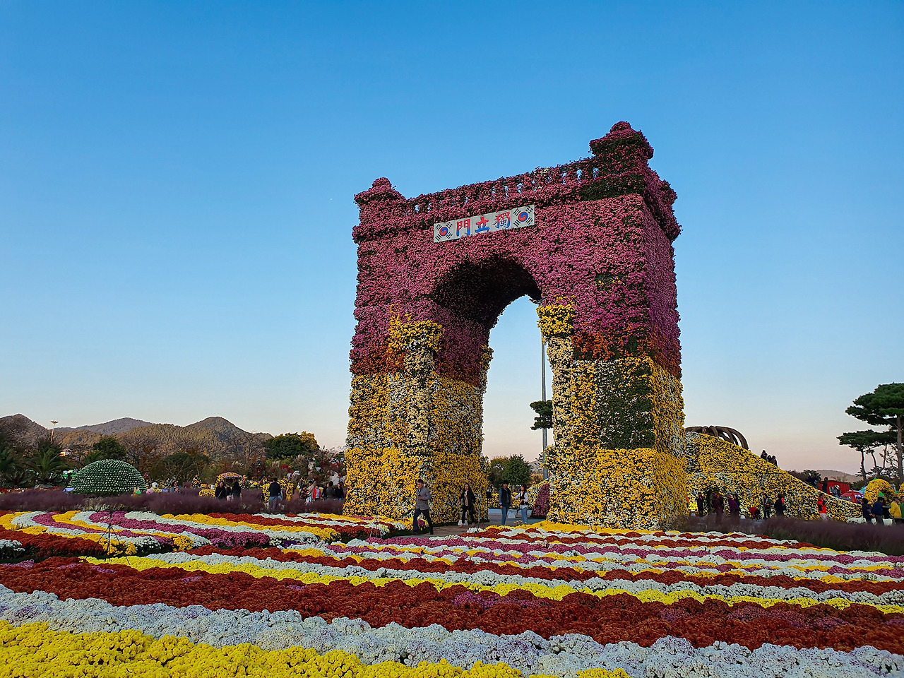 함평국화축제 국향대전 (8).jpg