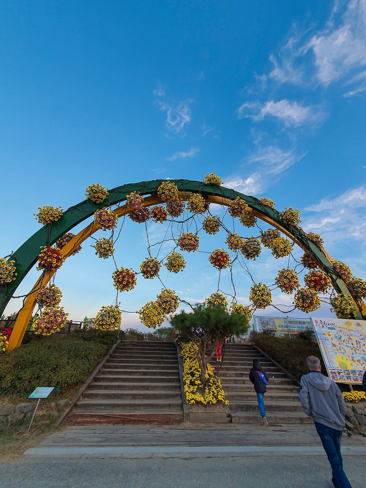 함평국화축제 국향대전 (4).jpg