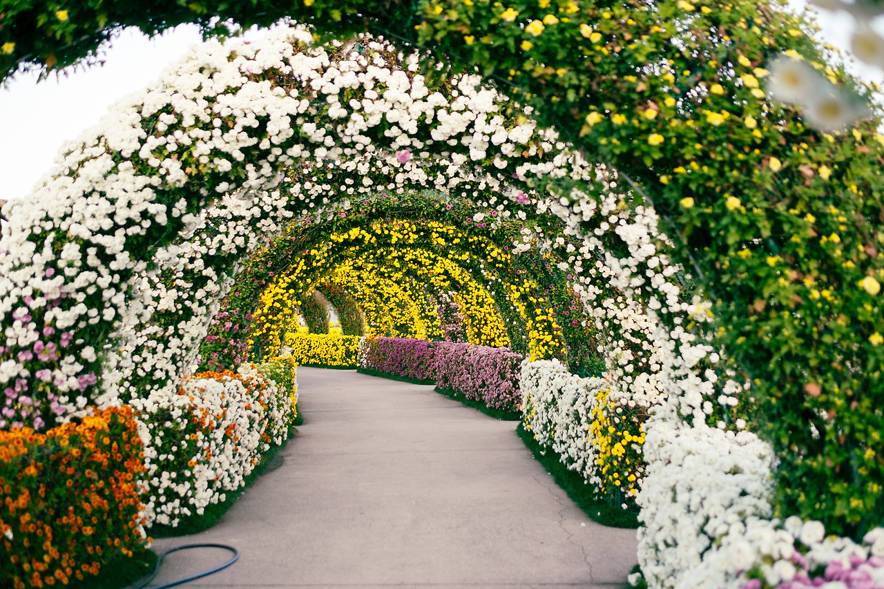 국향대전2 (5).jpg