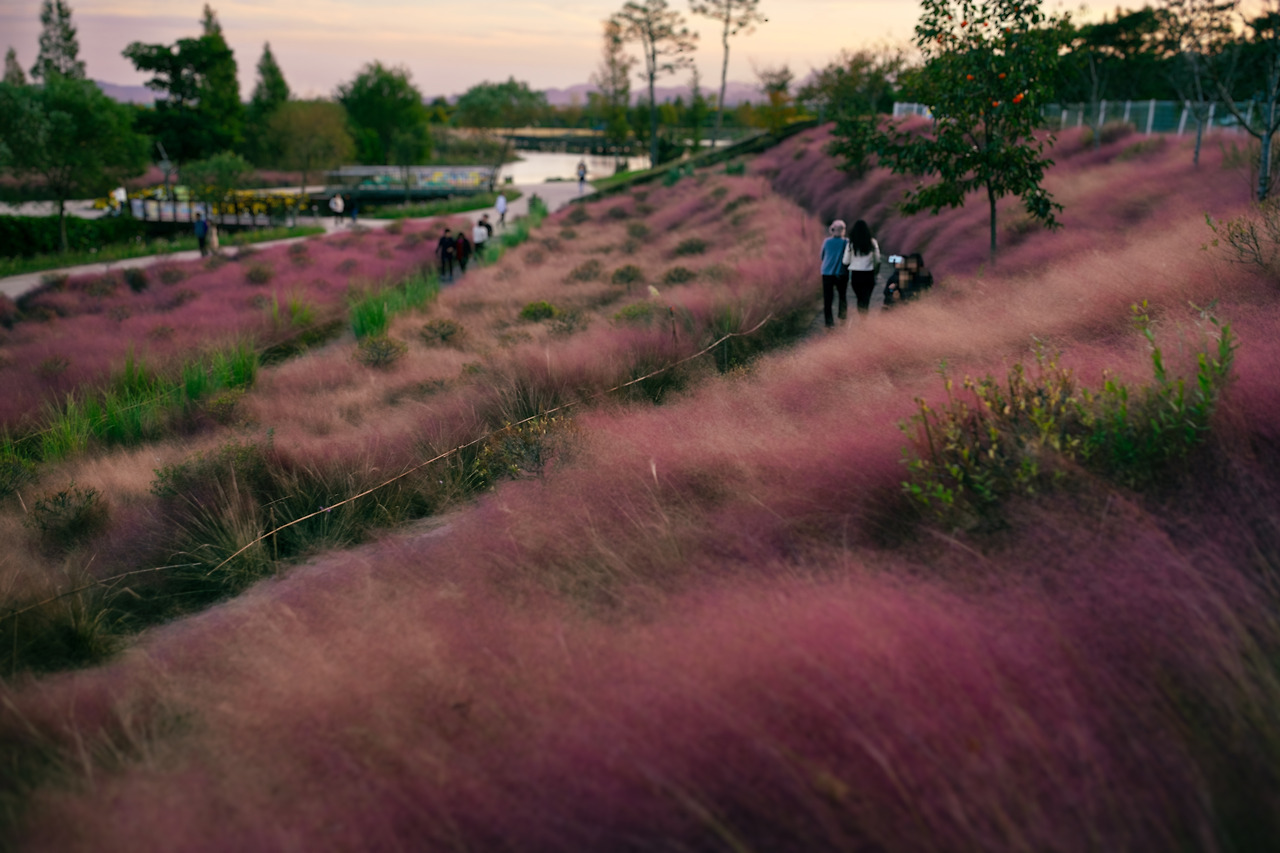 국향대전2 (7).jpg