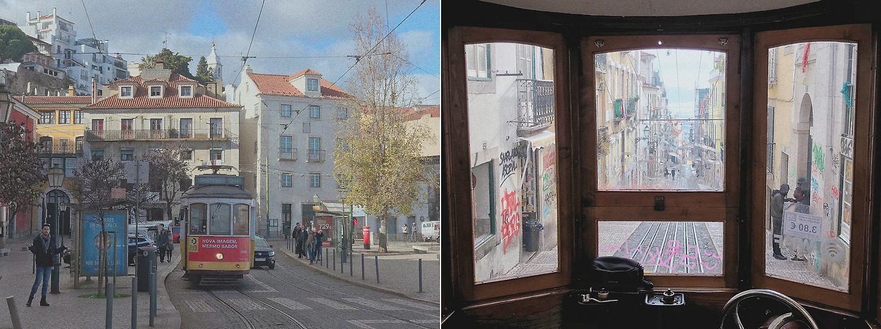 2019-05-19 01.19.09 1-tile.jpg