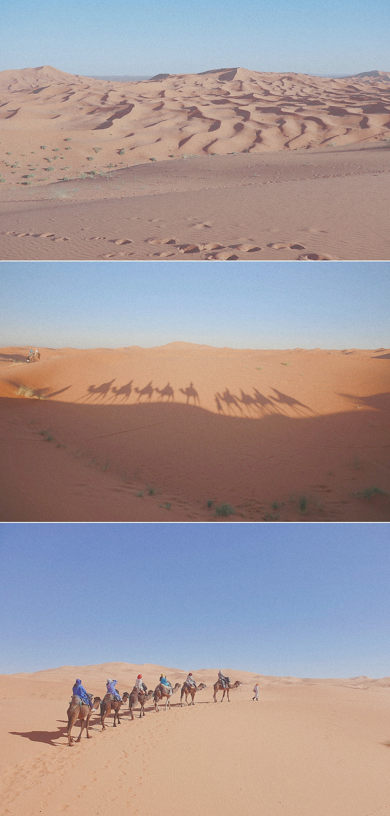 2019-07-08 09.11.04 3-down.jpg