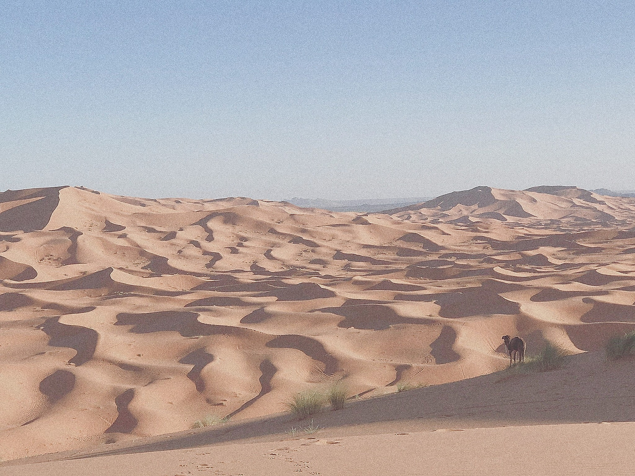 2019-07-08 09.11.06 2.jpg