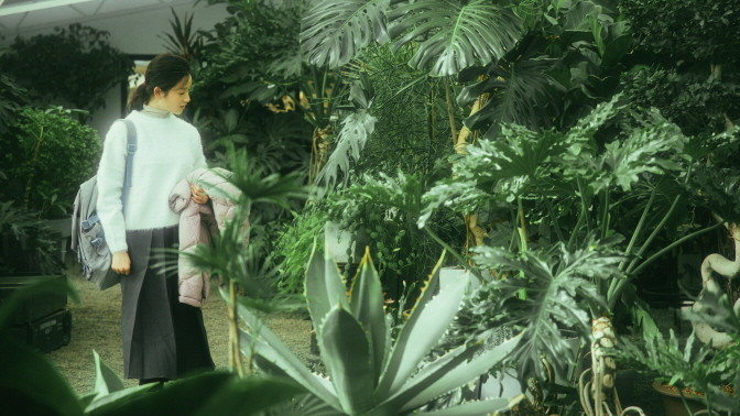 안녕 내고향2.jpg