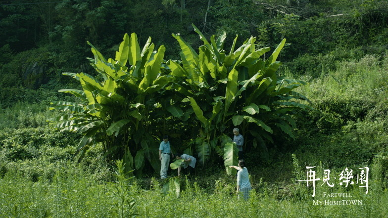 안녕 내고향.jpg