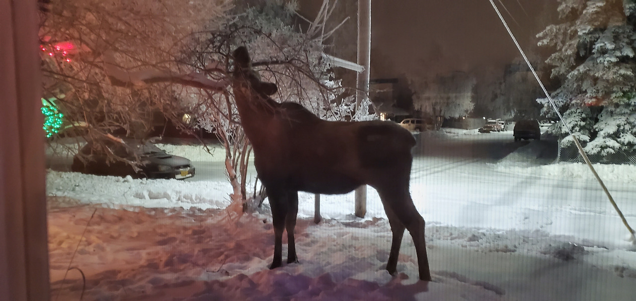 2020-01-07 06.57.13.jpg