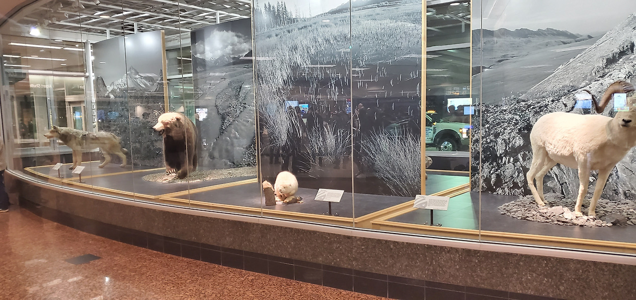 2020-01-06 22.24.50.jpg