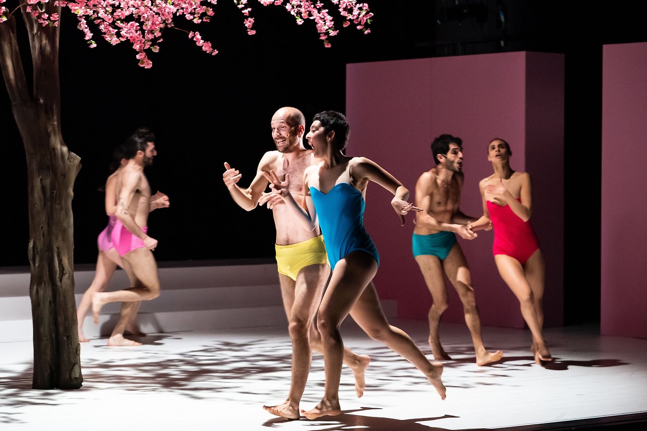 BPAM초이스-무용-로이 아사프 댄스.jpg