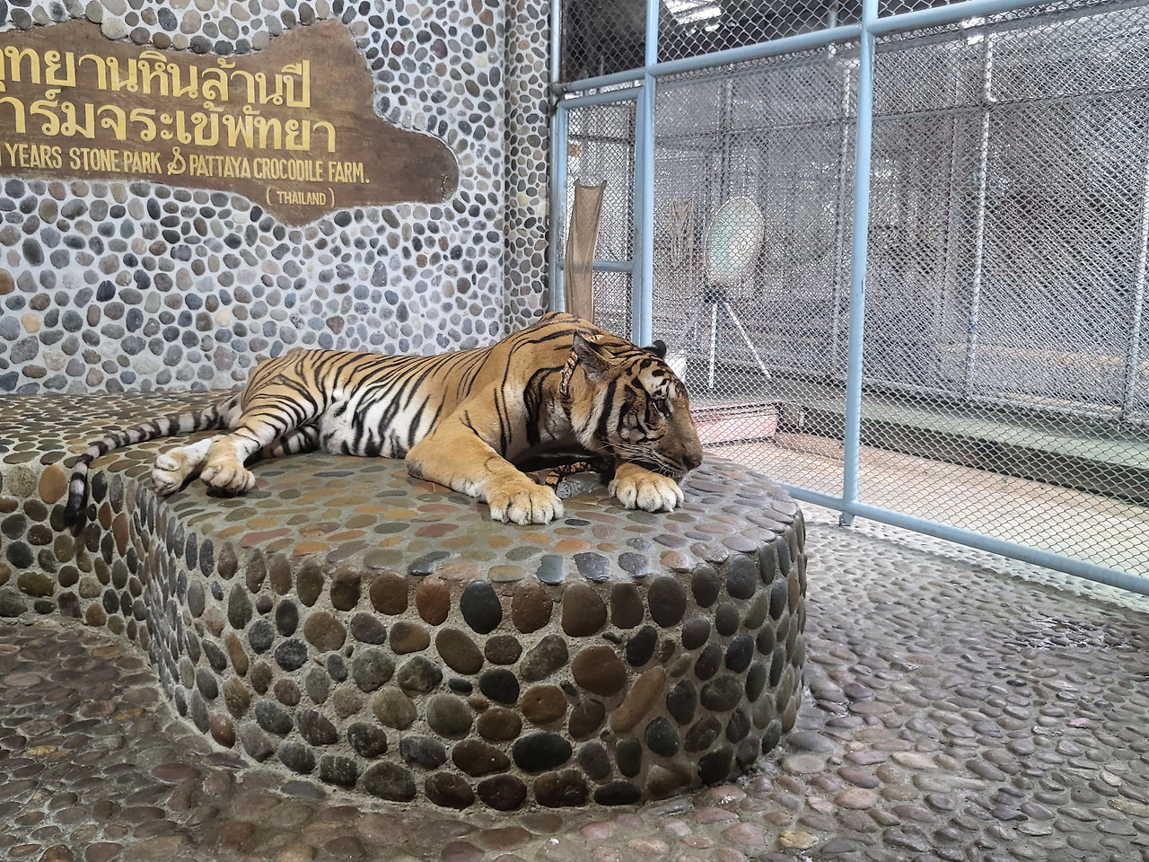 20230726_102348 (2).jpg