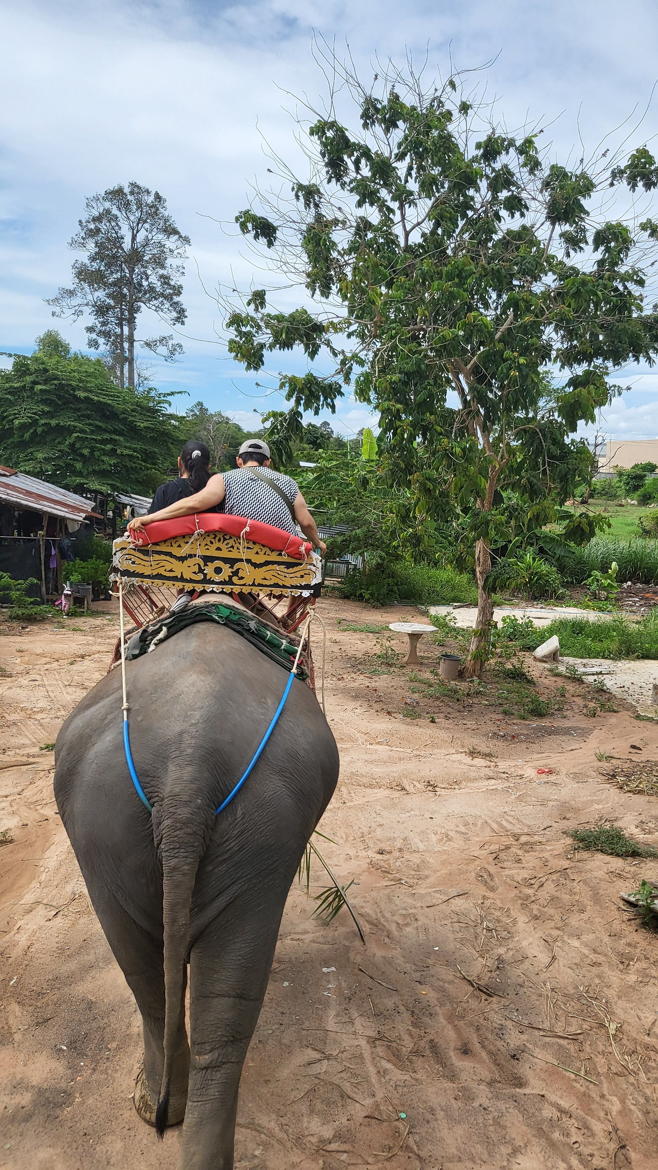 20230725_143057 (1).jpg