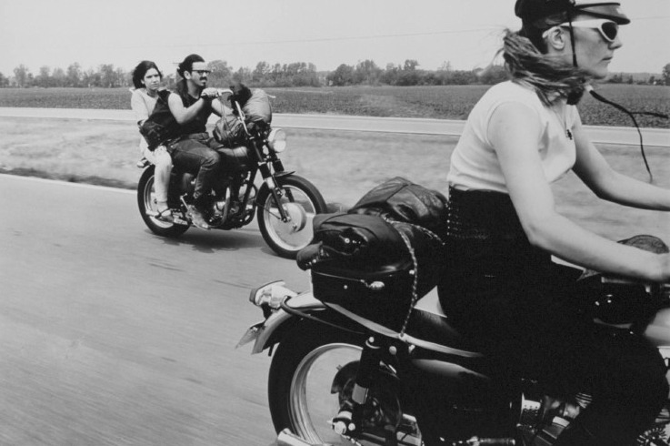 데니 라이온3.jpg