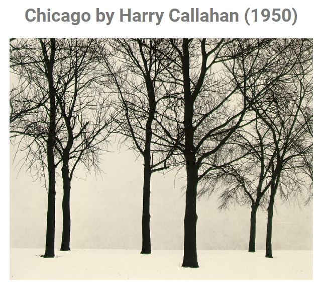 해리 카라한의 나무.jpg