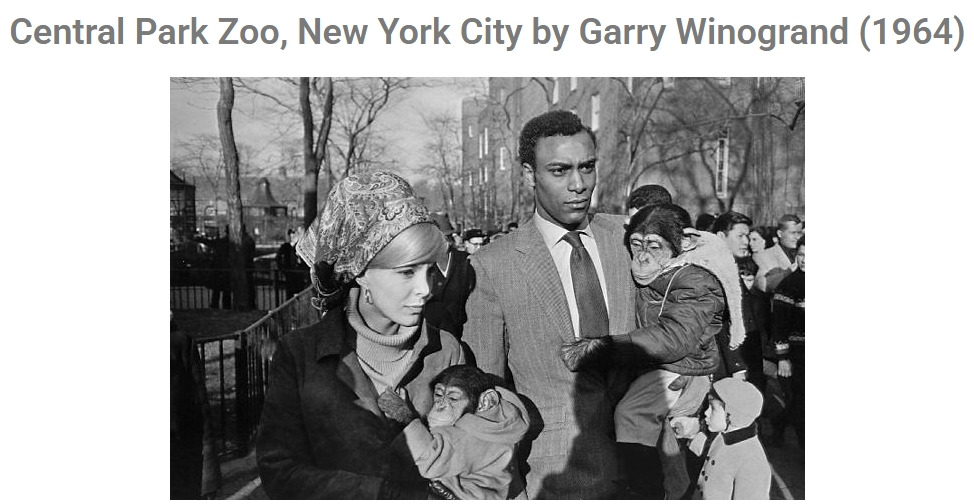 게리 위노그랜드.jpg