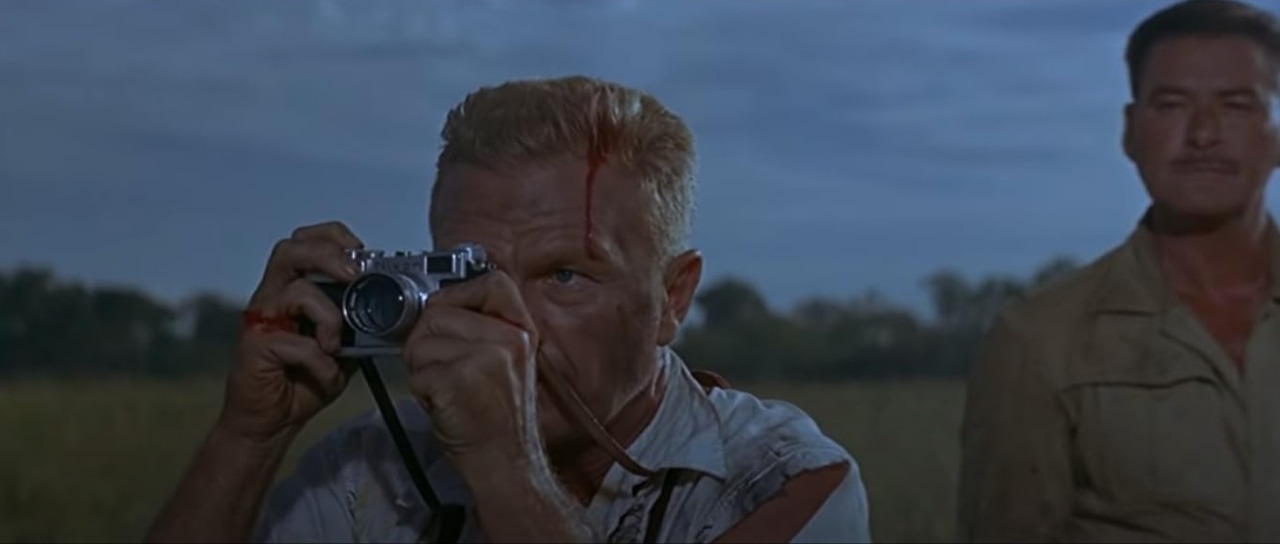 루츠 오브 헤븐 14.jpg