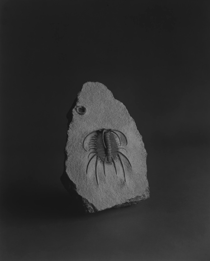 Hiroshi Sugimoto.jpg