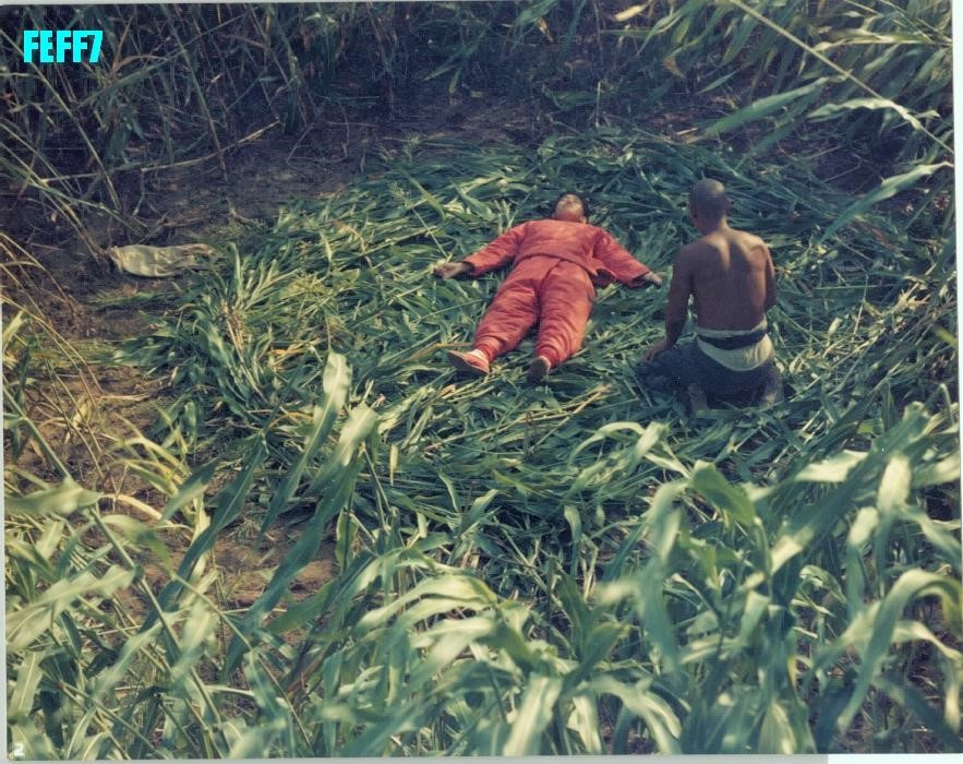 붉은 수수밭4.jpg