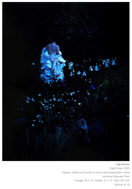 시그 하베이.jpg