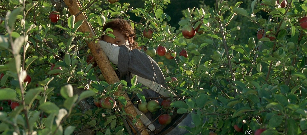 사이더 하우스 26.jpg