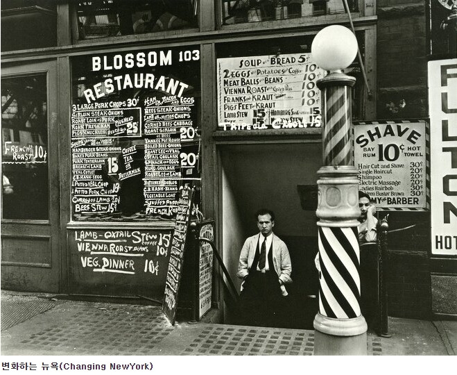 베레니스 애벗.jpg