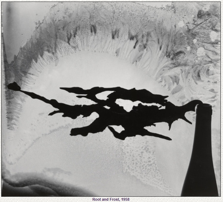 마이너 화이트.jpg