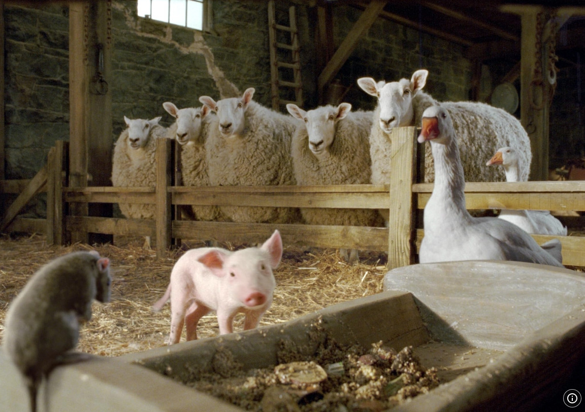 샬롯의 거미줄 06.jpg