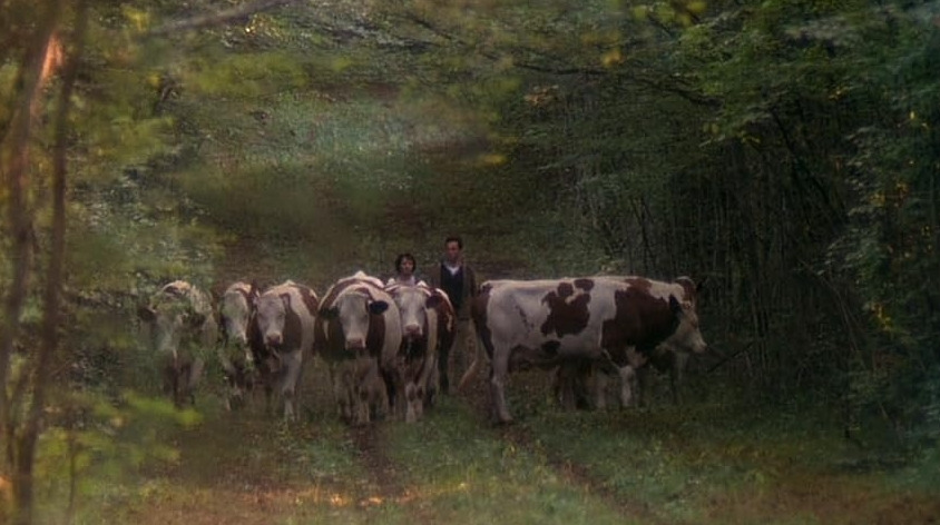 영화 프라하의 봄 27.jpg