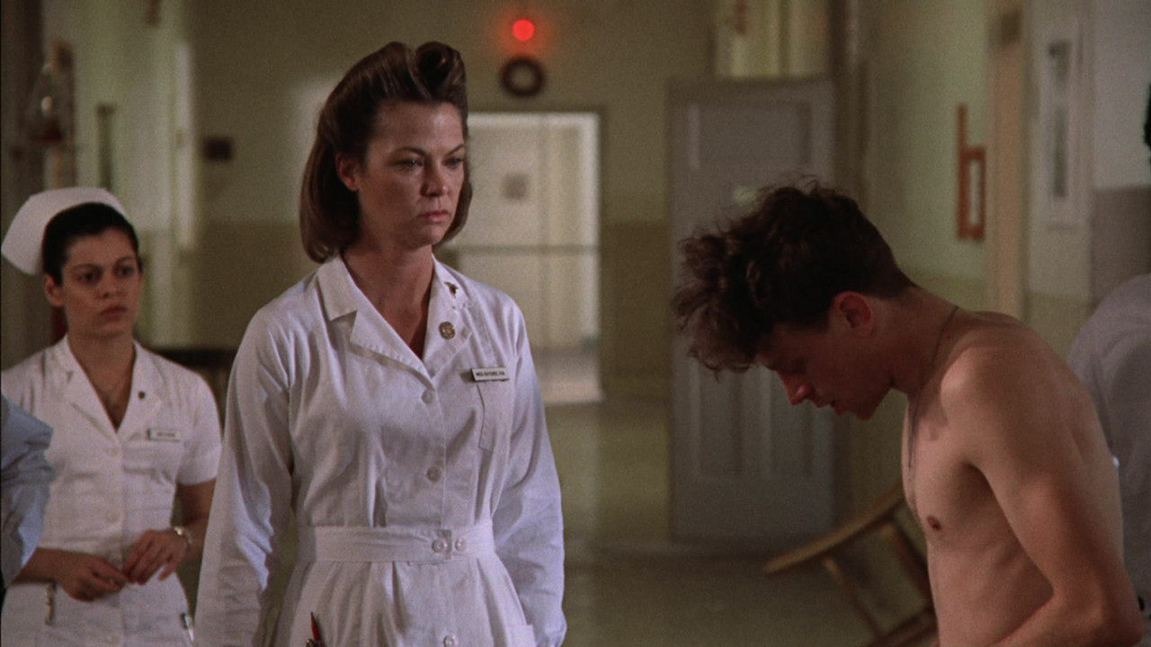 뻐꾸기 둥지 위로 날아간 새2.jpg