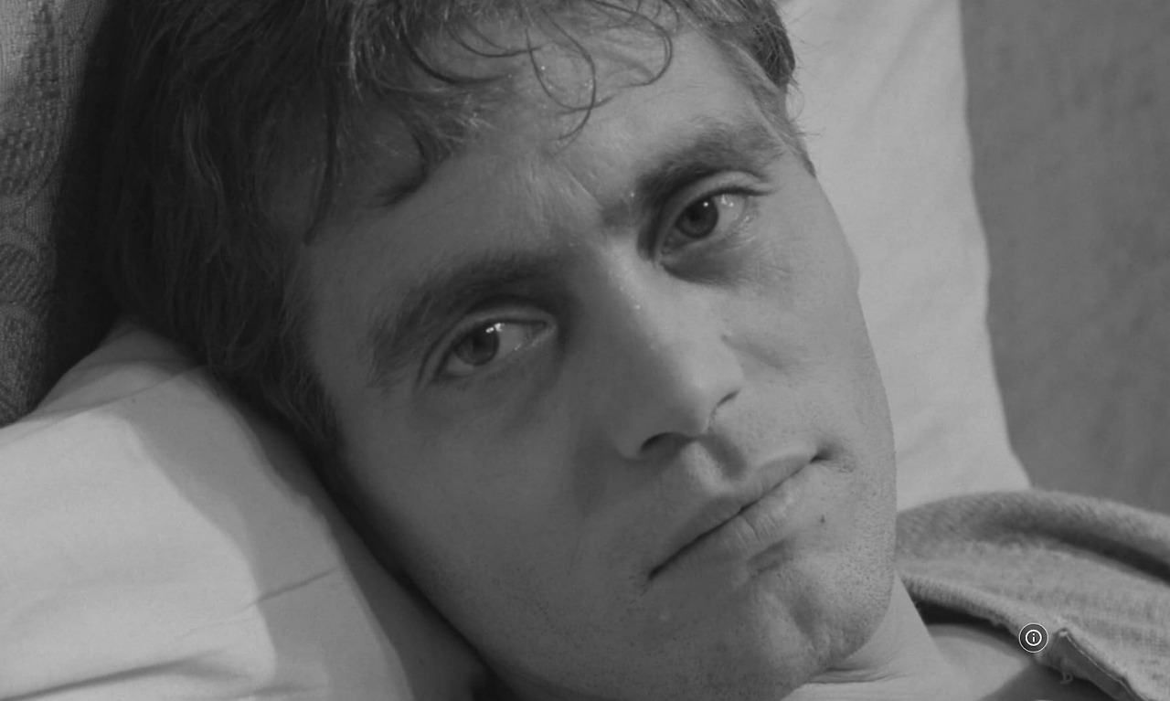 바이얼런트 라이프 01.jpg