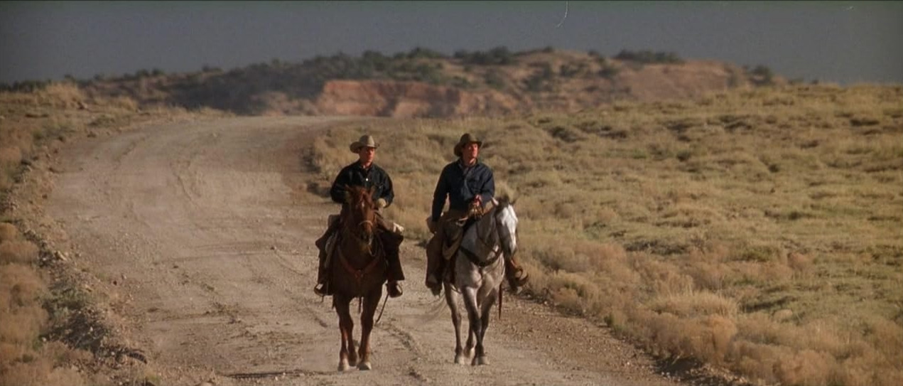 올 더 프리티 호시즈 15.jpg