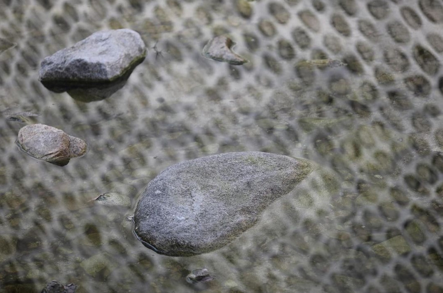 20210227-돌멩이.jpg