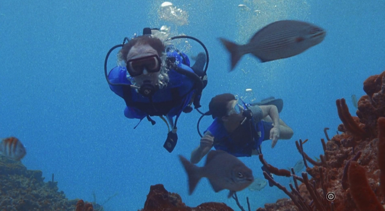 영화 야망의 함정 19.jpg