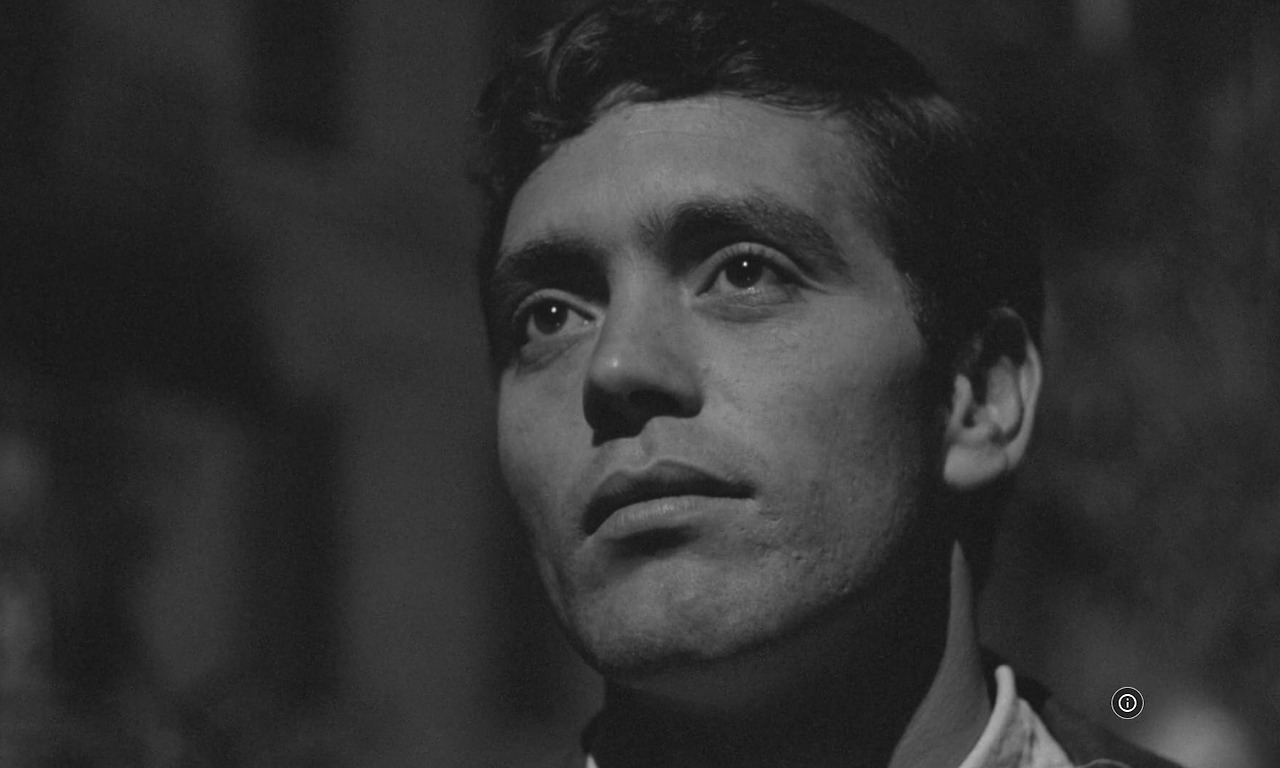 바이얼런트 라이프 04.jpg