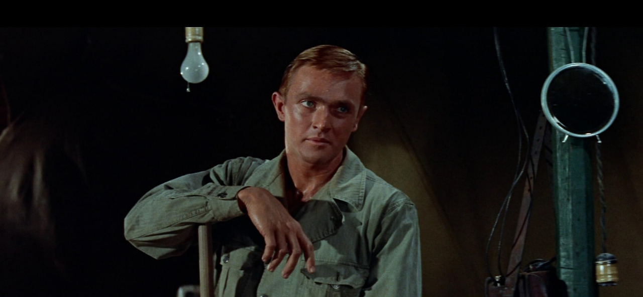 영화 나자와 사자 11.jpg