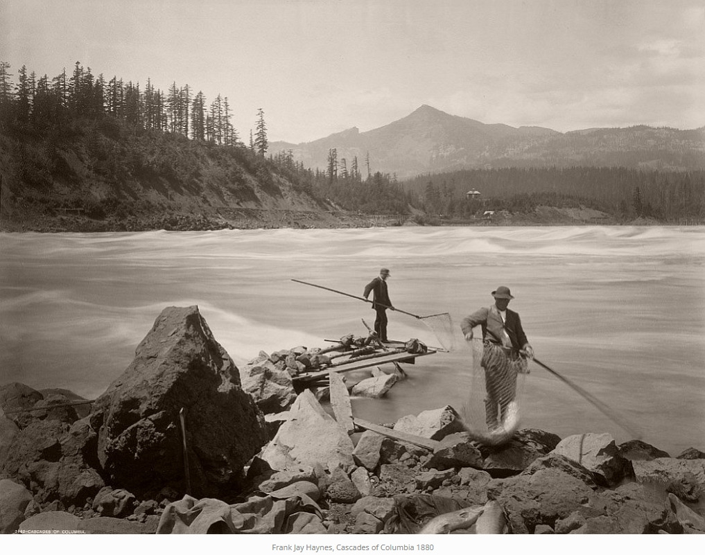 F. Jay Haynes 01.jpg