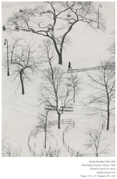 앙드레 케르테츠.jpg