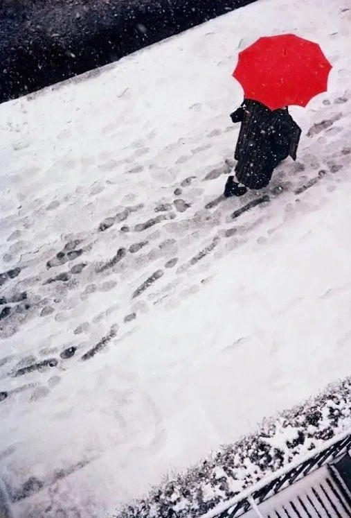 사울 레이터.jpg