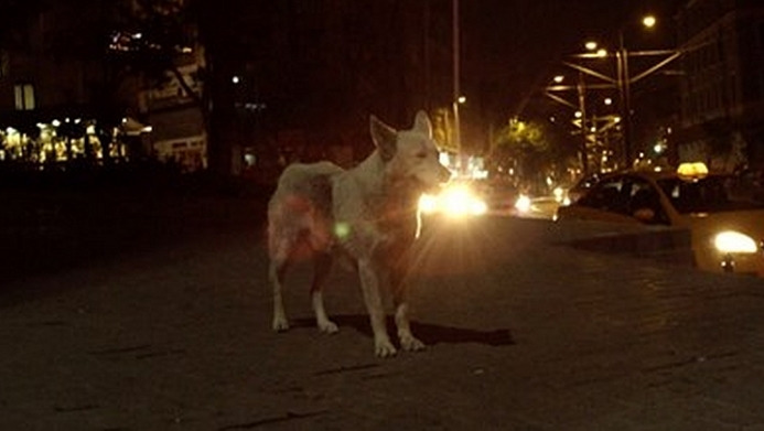 순수박물관 06.jpg