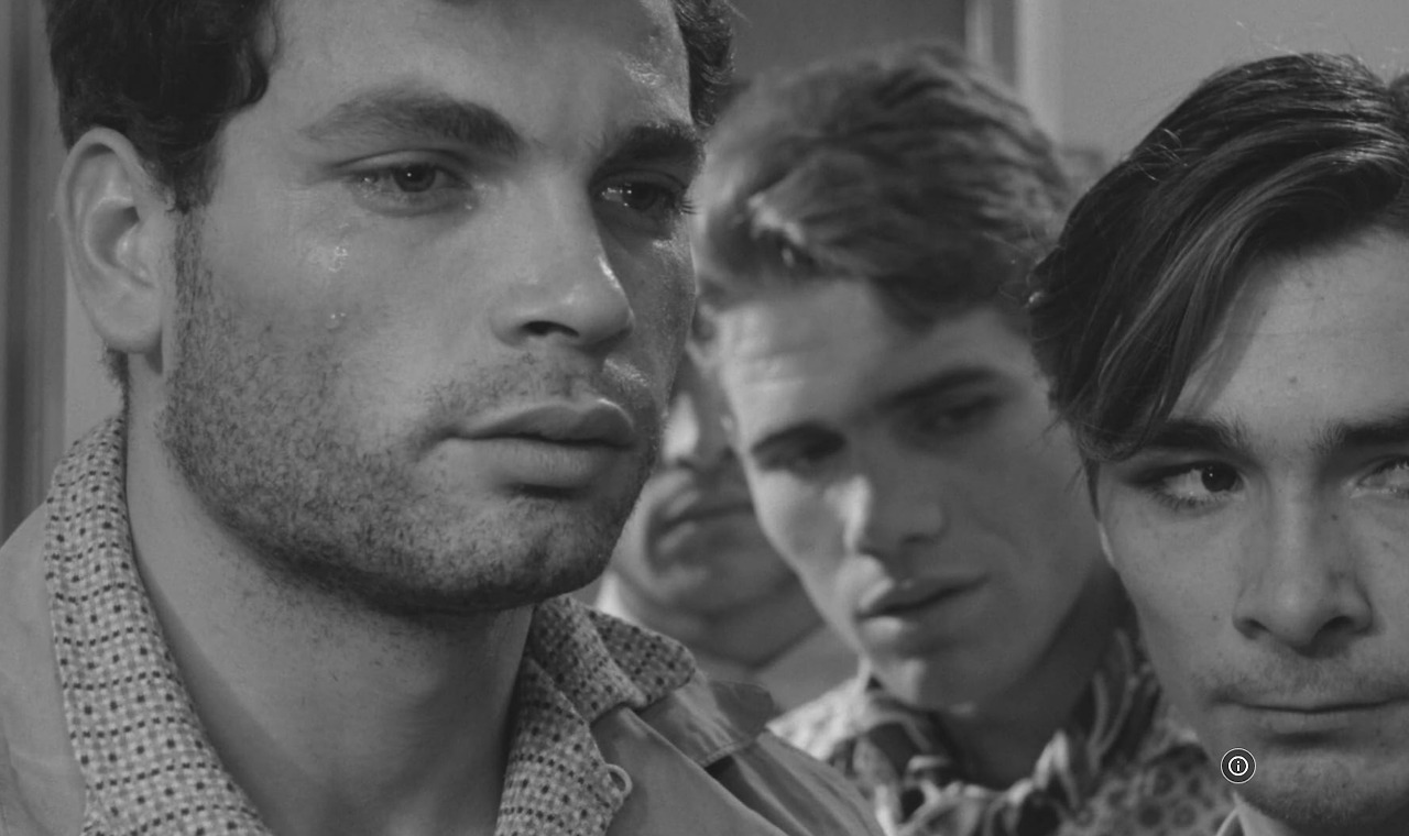 바이얼런트 라이프 02.jpg