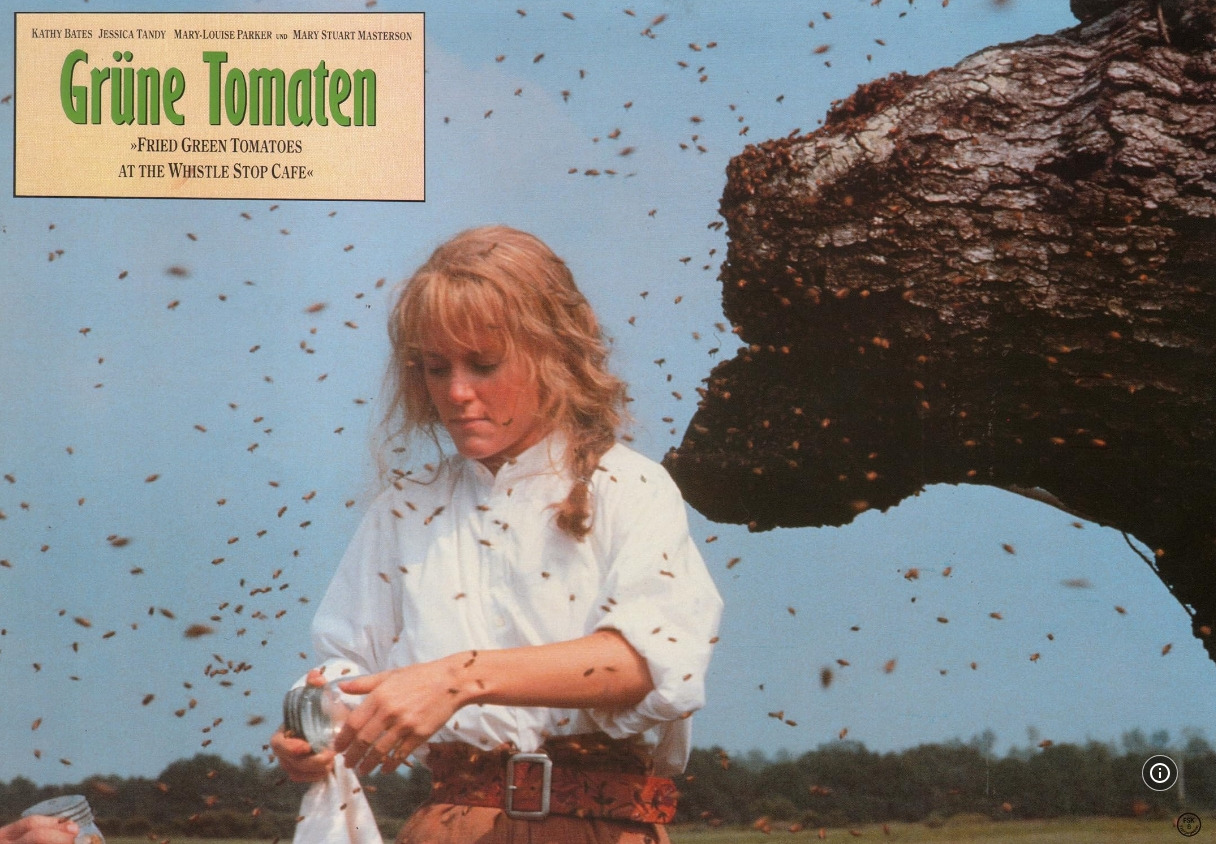 프라이드 그린 토마토 11.jpg