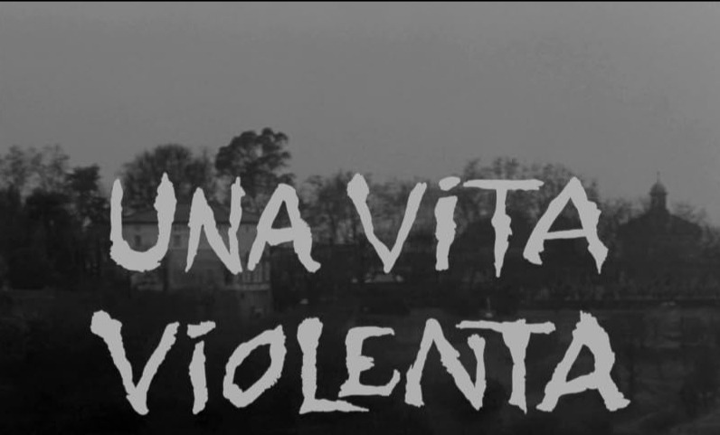 바이얼런트 라이프 05.jpg