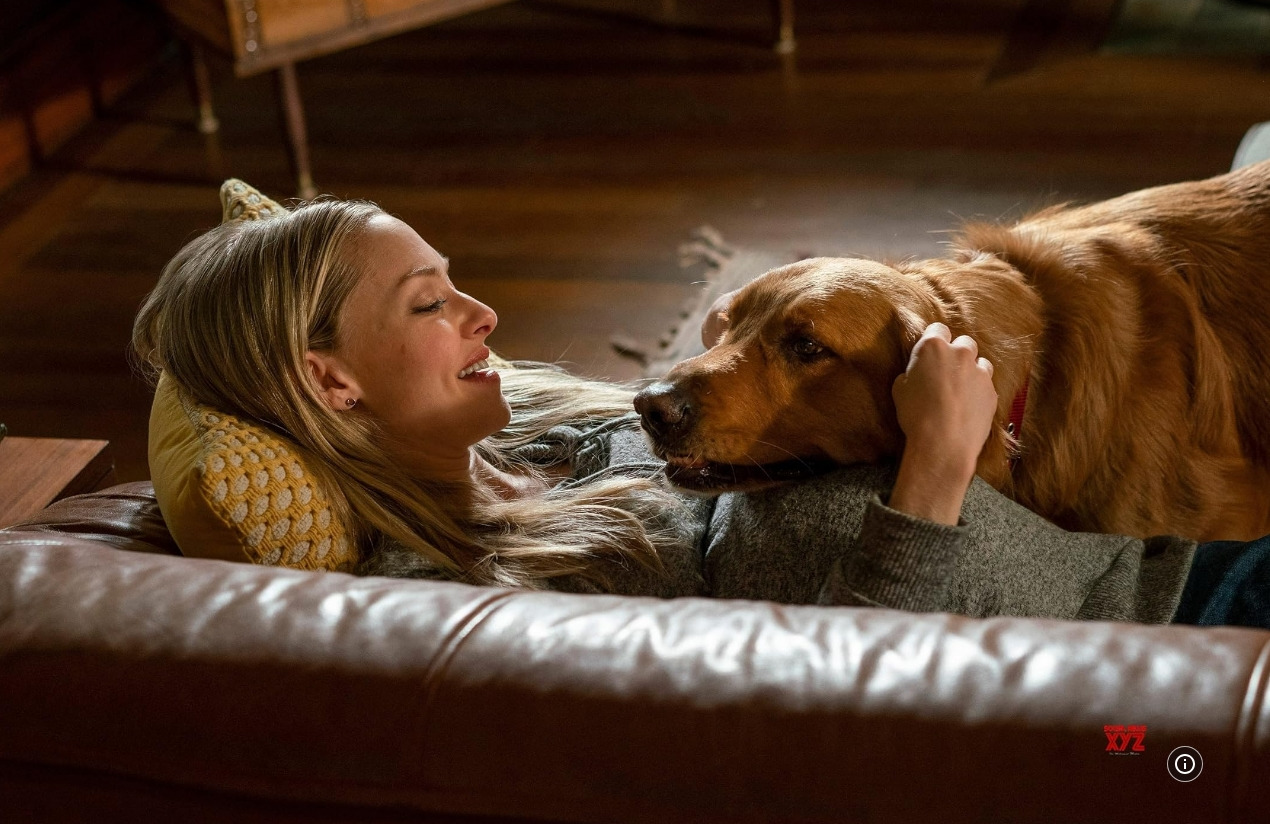 레이싱 인 더 레인 10.jpg