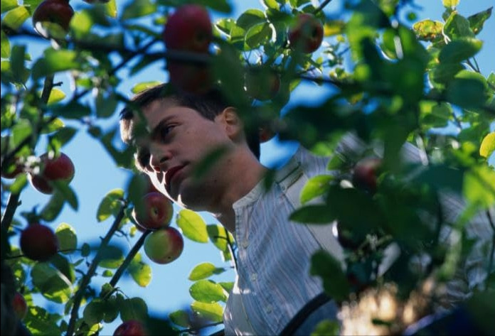 사이더 하우스 05.jpg